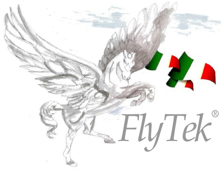 Logo flytek old